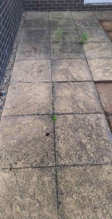 Photo of free 60 x 60 patio slabs (Cottesmore LE15) #1