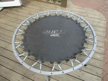 Photo of free Mini-trampoline (South Woodham Ferrers CM3) #1