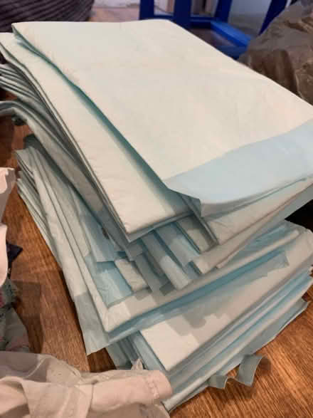 Photo of free Absorbent pads x 20 (Lifford, kings Norton B30) #1