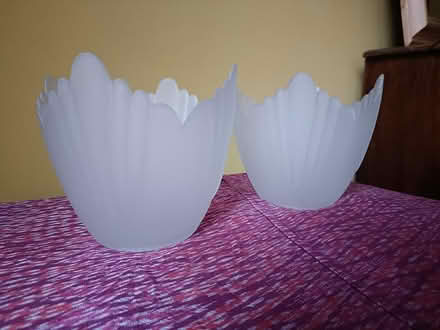 Photo of free Glass light shades x2 (New Milton BH25) #1