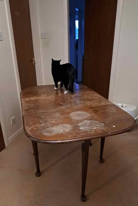 Photo of free Drop Leaf Dining Table (Musselburgh EH21) #2