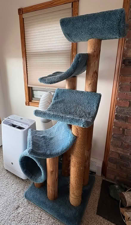 Photo of free Tall cat tree (Pinckney) #1