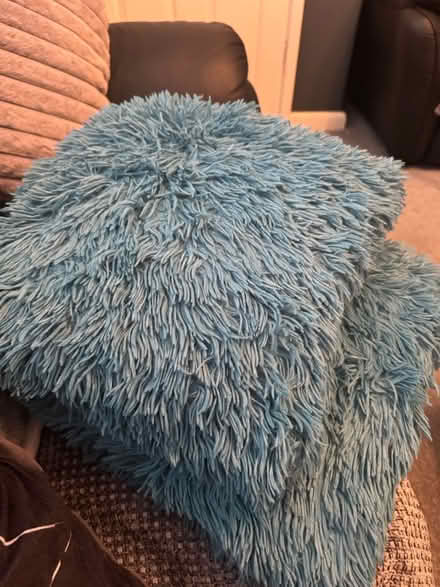 Photo of free Cushions (M18 Abbey Hey) #2