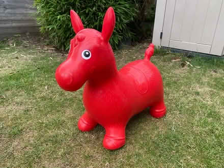 Photo of free Donkey bouncing thing (St John’s, WR2) #1