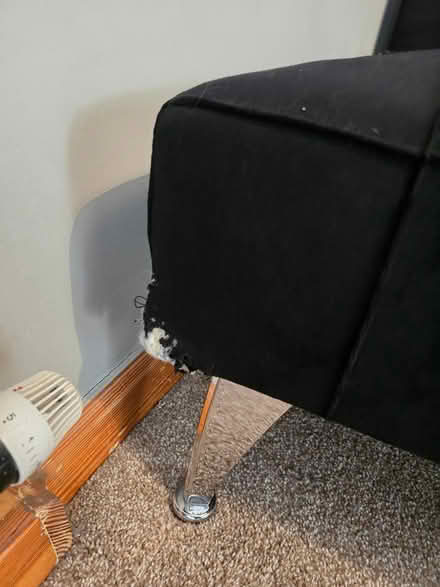 Photo of free Single bed/sofa extendable (Malahide) #3