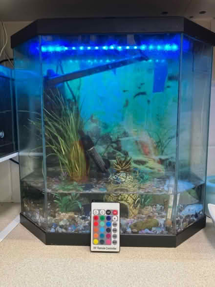 Photo of free Aquarium fish tank (SW9) #1