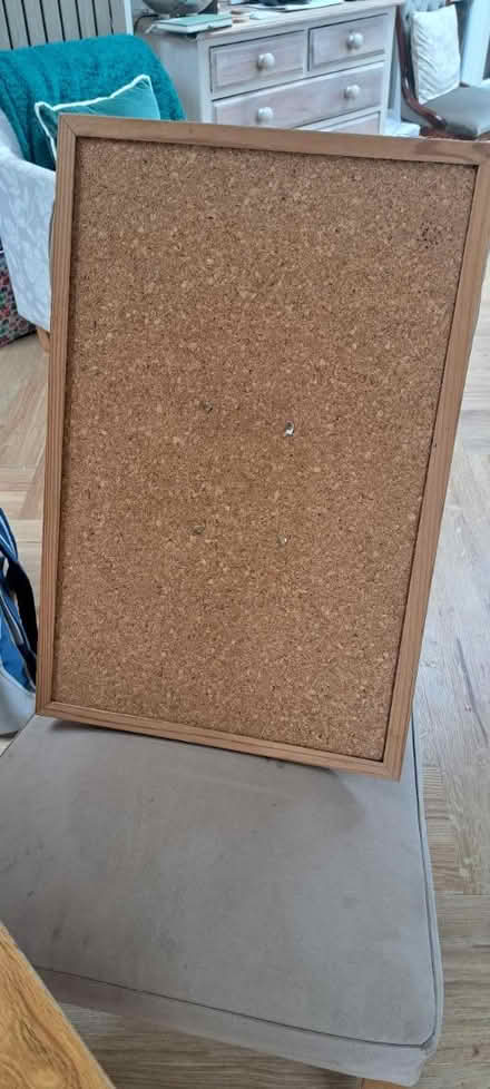 Photo of free Cork board (Horsham RH13) #1