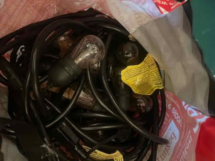 Photo of free Outdoor party lights (Dupont/Logan) #1