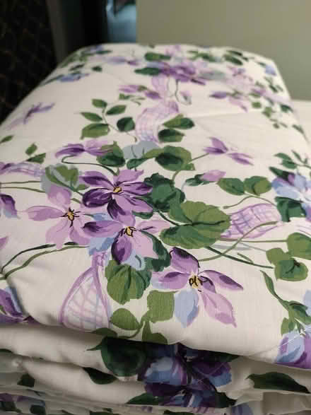 Photo of free Comforter (Odenton) #1
