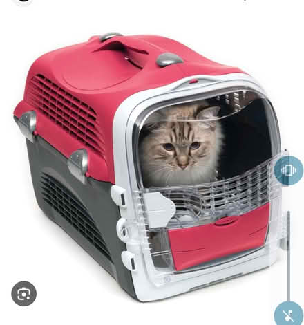 Photo of Cat carrier, box etc (E3 2fg approx) #1