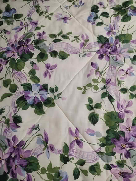 Photo of free Comforter (Odenton) #4