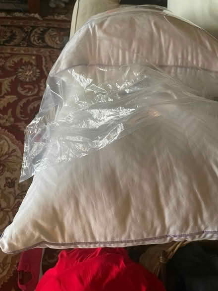 Photo of free Two Pillows from Macys (Harlem) #1