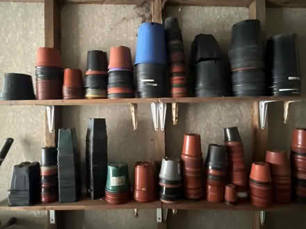 Photo of free Assorted plastic plant pots (BD18 Shipley) #1