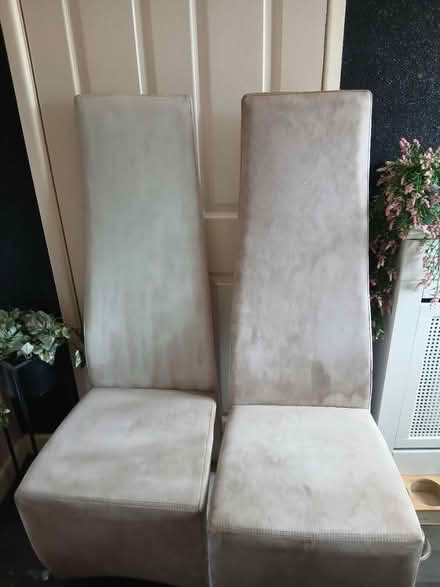 Photo of free Dining chairs (Canford Heath, BH17 8) #1