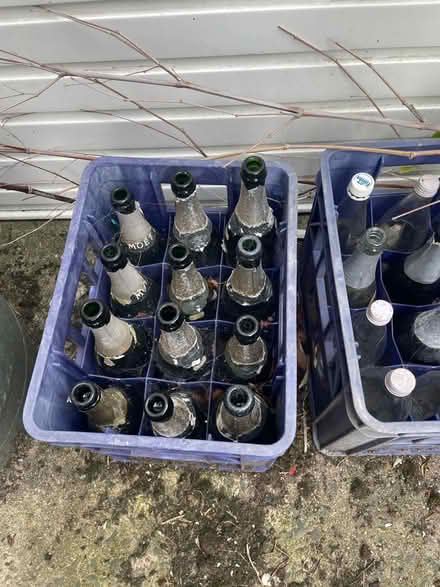 Photo of free Bottles (BT4) #1