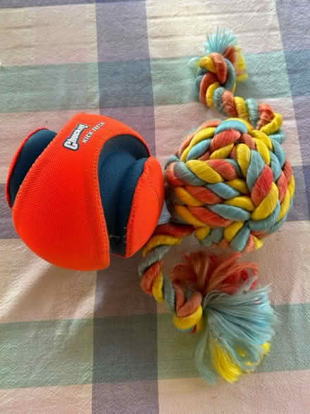 Photo of free Toys for large dog (Germantown 20874) #1