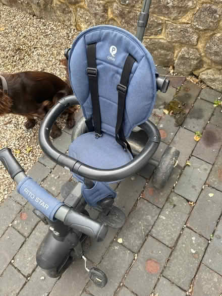 Photo of free Push along trike (TN23) #1