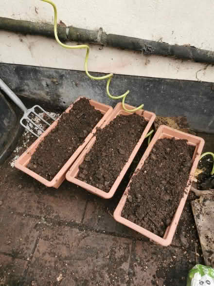 Photo of free Soil (South Bermondsey SE15) #1
