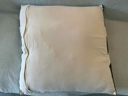 Photo of free Large dog cushion black & white (Henley-on-Thames RG9) #2