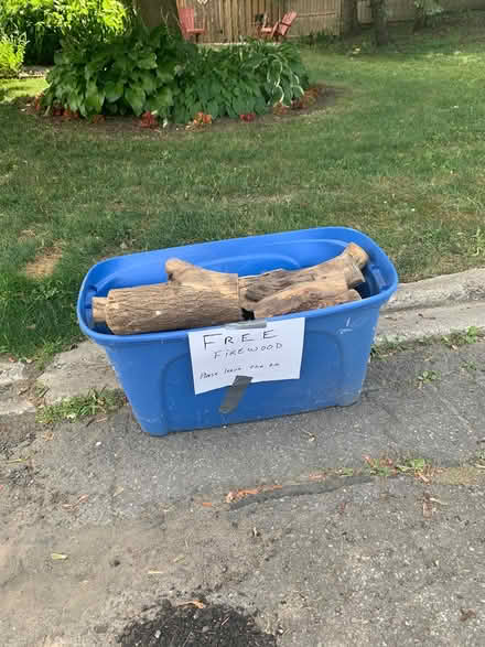 Photo of free Fire wood (Hunt Club) #1