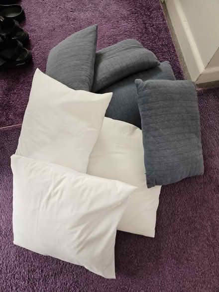 Photo of free 7x cushions (EX8) #1