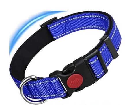 Photo of free Dog Collar (Southwark) #1