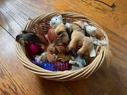 Photo of free Assorted cat toys (01801) #1