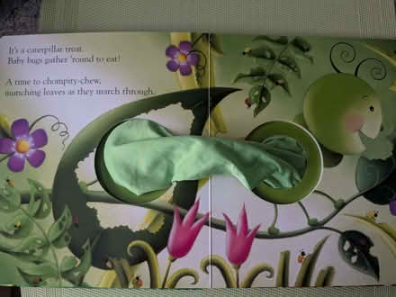 Photo of free Caterpillar Spring Butterfly Summer Book (Beulah Hill SE19) #2