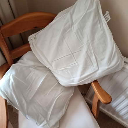 Photo of free 2 cushion insides (Central HORSHAM) #1
