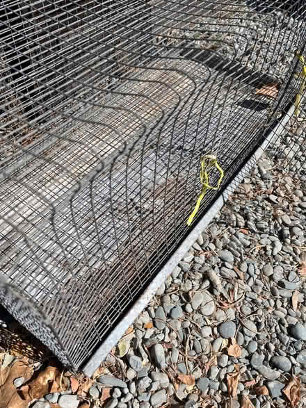 Photo of free Small animal cage (Downtown Mountain View) #2