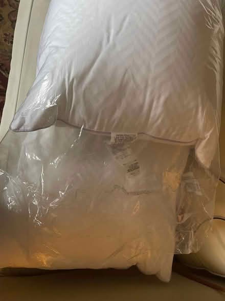 Photo of free Two Pillows from Macys (Harlem) #2