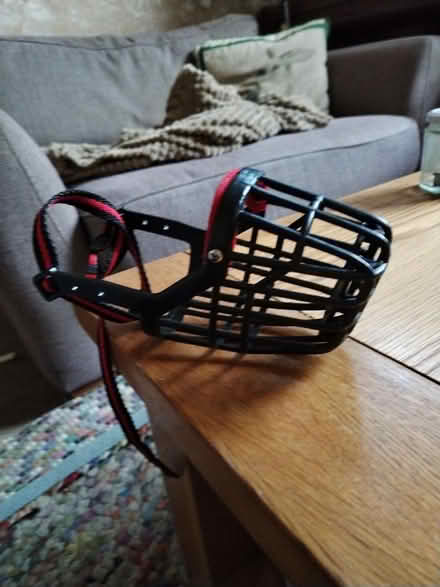 Photo of free Basket muzzle (size 6) (Sheffield S9 Wincobank) #1