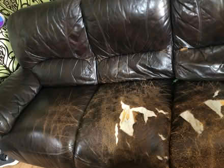 Photo of free Sofa (Girlington BD8) #2