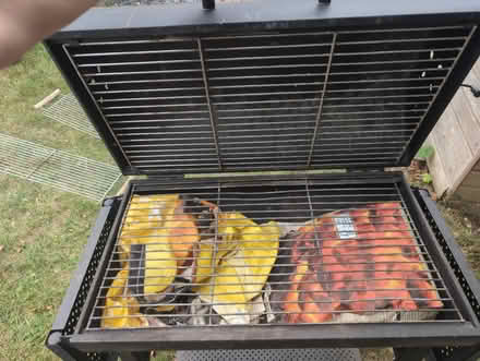 Photo of free Large double BBQ (Portchester PO16) #2