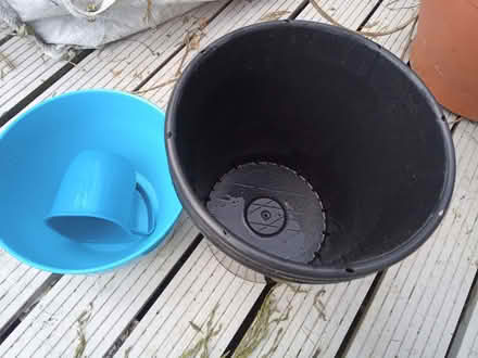 Photo of free Outside cup, bowl, bucket/bin (Colchester CO4) #1