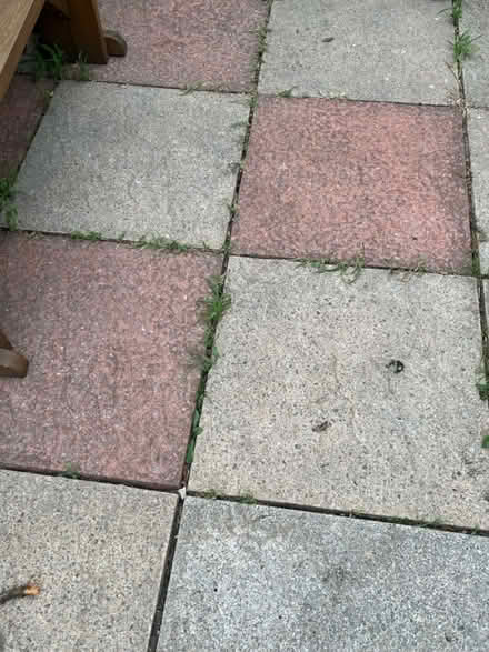 Photo of free Approx 96 Paving Slabs (Frome BA11) #3
