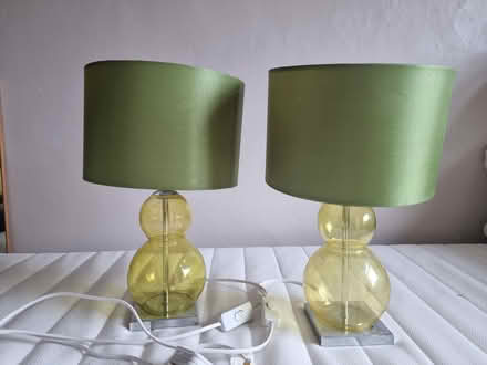 Photo of free 2 x green lamps (Penistone S36.) #1