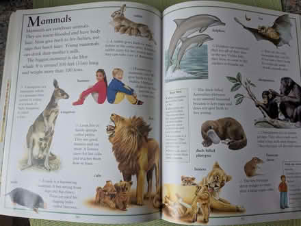 Photo of free Children's Encyclopedia (Beulah Hill SE19) #2