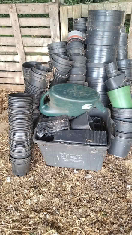 Photo of free Plant pots (Taunton) #1