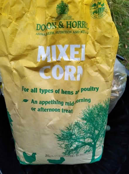 Photo of free Chicken food (Kennington OX1) #1