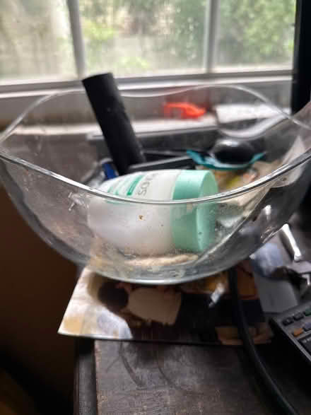 Photo of free Bowl (Livingston, NJ) #2