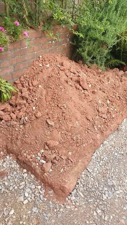 Photo of free Soil (Paignton TQ3) #1