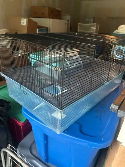 Photo of free Hamster items (Roseville, Mn) #1