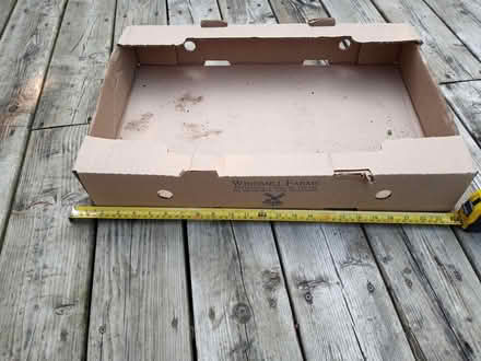 Photo of free carboard trays for plants (Alta Vista- Riverview Park) #1