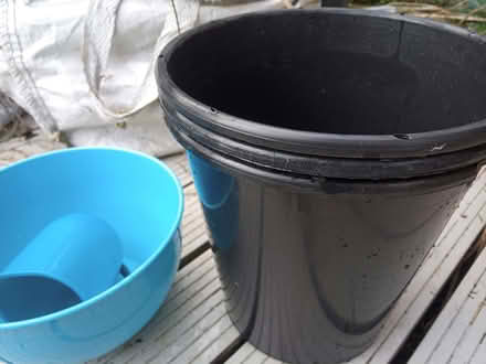 Photo of free Outside cup, bowl, bucket/bin (Colchester CO4) #2