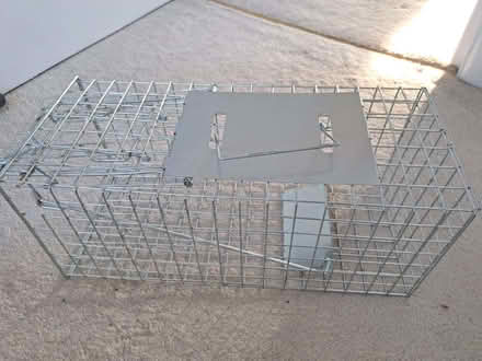 Photo of free Wildlife/animal cage (Caversham RG4) #1