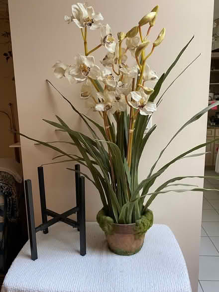 Photo of free Artificial Orchid w/stand (West Laurel) #1