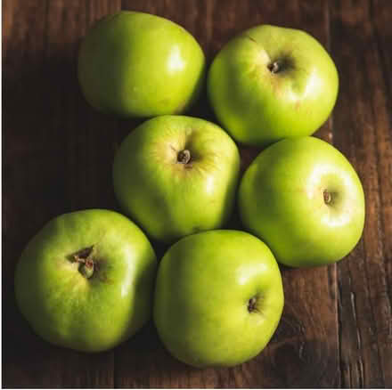 Photo of Cooking apples (Kettleshulme SK23) #1