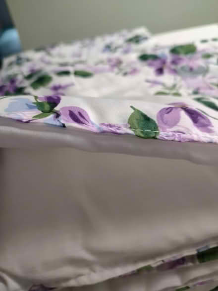 Photo of free Comforter (Odenton) #3