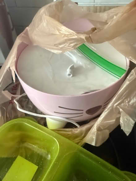 Photo of free Cat Feeding-Starter Kit (Southwest DC-Navy Yard) #2